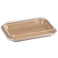 Plasdent TRAY LID SIZE F (Mini), Clear - Dimensions: 9⅝" x 6⅝" x ⅞"